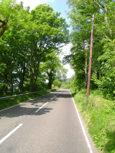 File:B833 heading into Ardpeaton - Geograph - 1387499.jpg