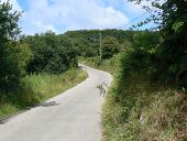 Road west from the Watermill Ponds - Geograph - 2616653.jpg