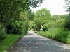 Burtons Lane - Geograph - 4013340.jpg