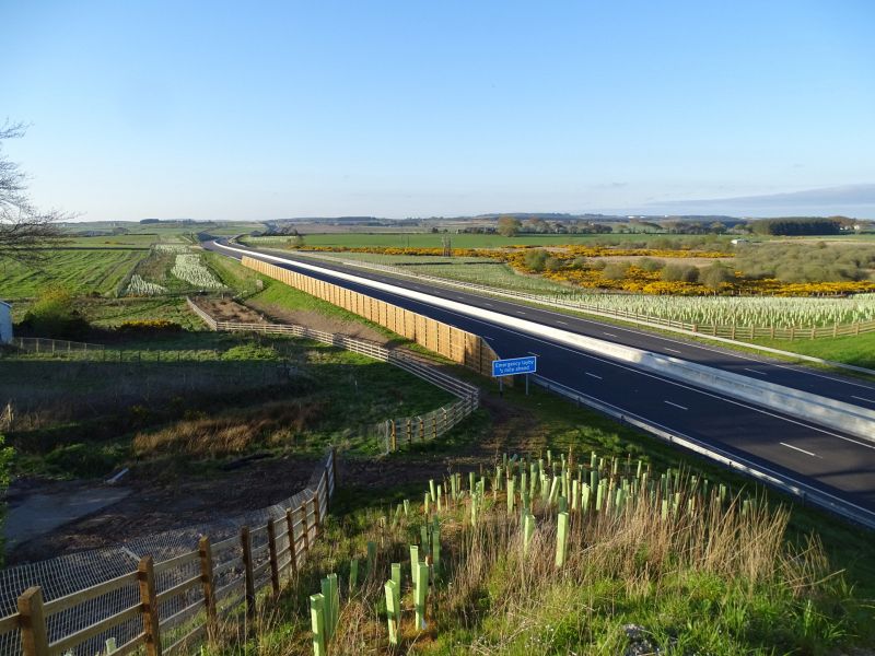 File:A90 Fastlink - Cookney looking north.jpg