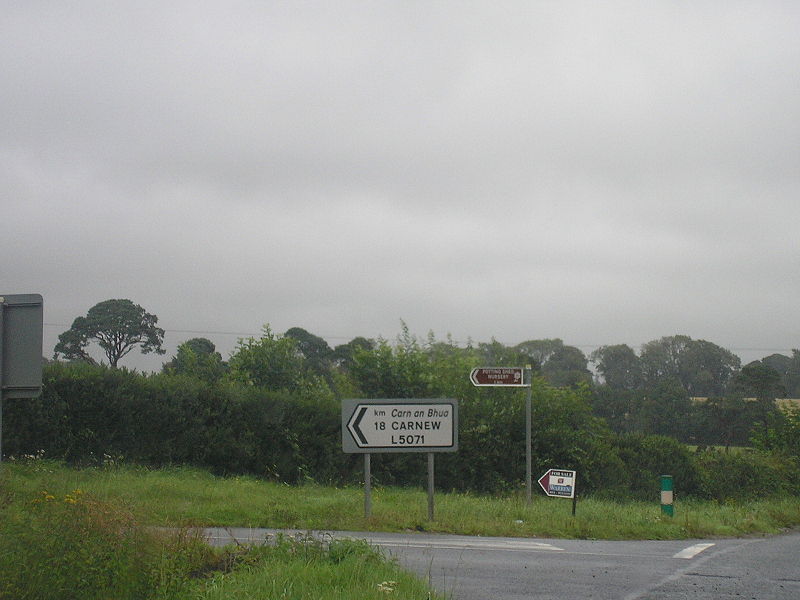 File:N11 northybound before start of Gorey Bypass, near Camolin. - Coppermine - 19652.JPG