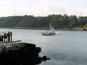 The Glenbrook to Ballynoe Ferry - Geograph - 595371.jpg