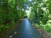 Road near St Fillans - Geograph - 6031665.jpg