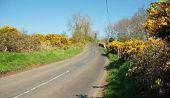 The Hillside Road near Ballycastle (1) - Geograph - 1258902.jpg