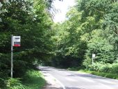 Golding's Hill, Epping Forest (C) Malc McDonald - Geograph - 2523514.jpg