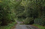 THE OLD (OLD) ROAD FROM BELFAST TO DUBLIN - Coppermine - 10113.jpg