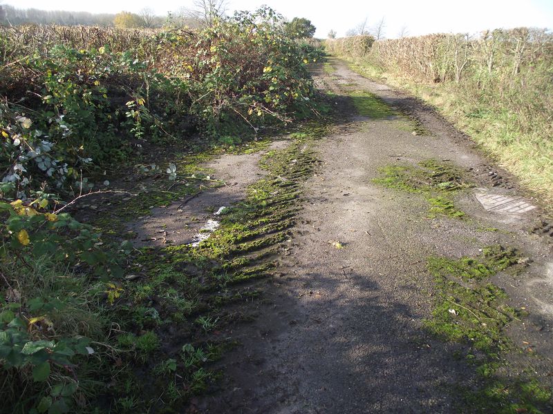 File:Old road gone 022.jpg