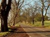 A lovely autumn day along Holly Cross Road - Geograph - 1022144.jpg