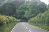 Llanrwst Road (A470) (C) Nigel Chadwick - Geograph - 3169113.jpg