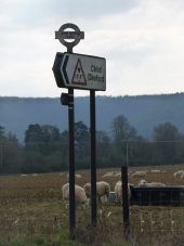 Shillingstone- road sign and sheep near Lamb House Farm - Geograph - 1752201.jpg
