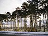 A snowy view from Annadale services on the A74(M) - Coppermine - 4915.jpg