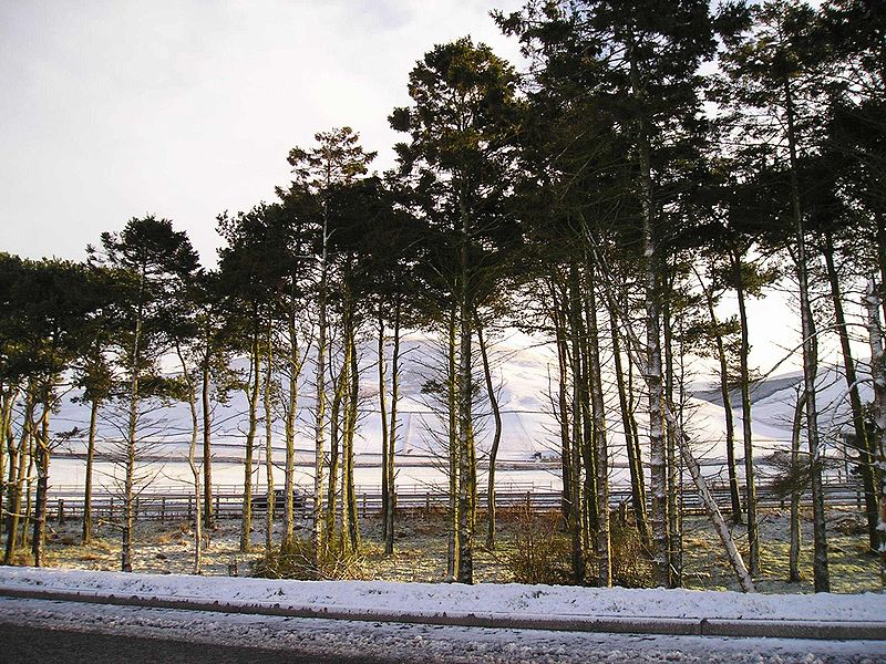 File:A snowy view from Annadale services on the A74(M) - Coppermine - 4915.jpg