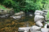 Dartmeet-br4.jpg