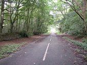 Light at the end of the Tunnel - Geograph - 47737.jpg