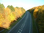 Autumn 2007 - Coppermine - 15878.jpg