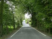 Heading south from Maenclochog - Geograph - 3515146.jpg