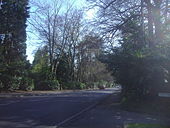 Old Woking Road, Pyrford - Geograph - 1249183.jpg