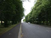 Fenham Hall Drive - Geograph - 3582870.jpg