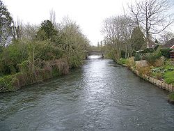 River Avon, Harnham - Geograph - 745864.jpg