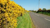 The Hillside Road near Armoy - Geograph - 1259160.jpg