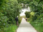 The road to Penzance, Tresco, Scilly - Geograph - 2012756.jpg