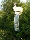 Sturminster Marshall- Newton Cross signpost - Geograph - 1375068.jpg