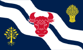 Oxfordshire flag.png