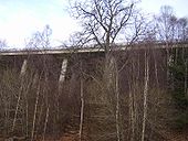 A9 Killiecrankie - Coppermine - 17577.JPG