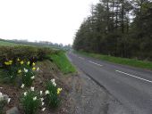 B149, Beltoy Road (C) Kenneth Allen - Geograph - 1823330.jpg