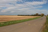 Lincolnshire Fenland road - Geograph - 4432452.jpg