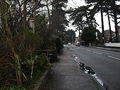 Mid section of Mill Lane - Geograph - 1667033.jpg