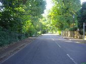 Ockham Road North, West Horsley - Geograph - 2221497.jpg