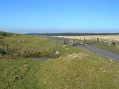 Cattle Grid - Geograph - 619178.jpg