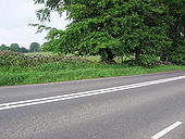 B3134 near Warren Lodge - Geograph - 455357.jpg