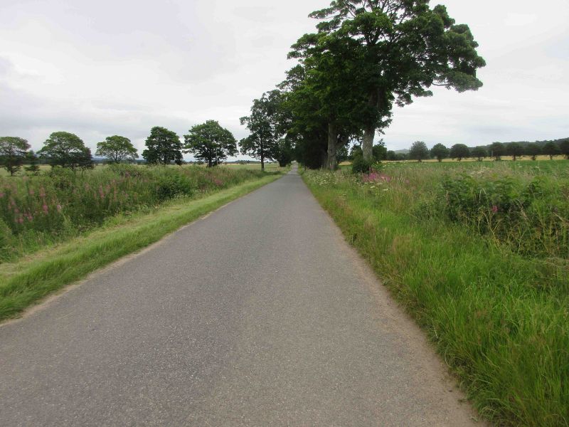 File:C16 (Perth & Kinross).jpg