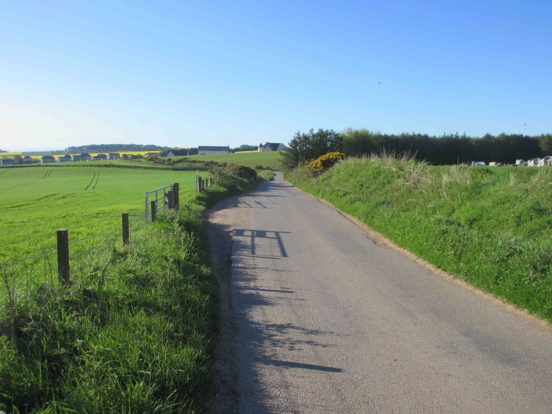 File:C21K towards Kinneff.jpg