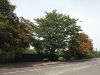 Kidbrooke Park Road (A2213), SE3 (C) Mike Quinn - Geograph - 2406420.jpg