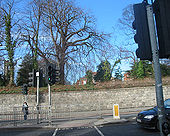 Green man on pedestrian crossing, Drumcondra Road, Dublin - Coppermine - 10494.jpg