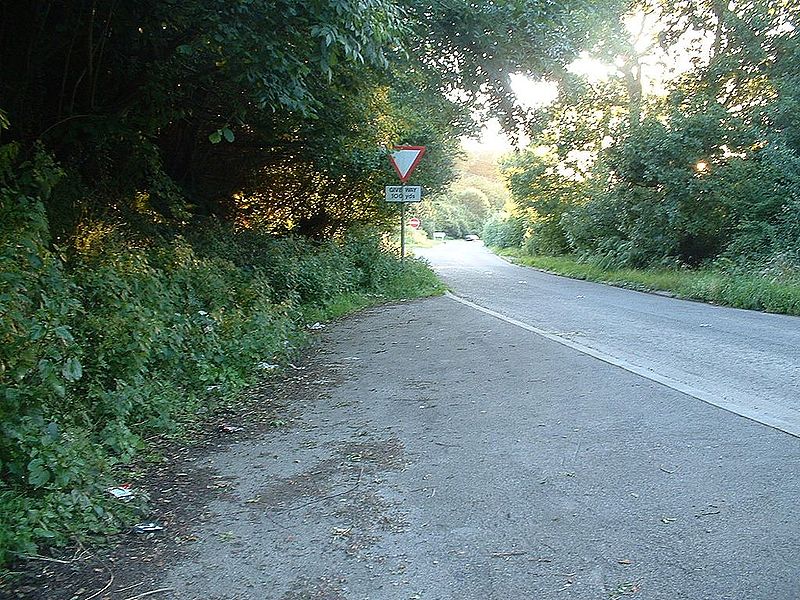 File:Old A35 Looking west, where it meets a lane leading to the A35. - Coppermine - 14431.jpg