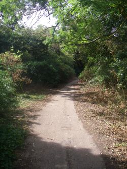 20180804-1033 - Old B1368 heading towards Puckeridge 51.893308N 0.014971E.jpg