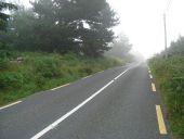 The R763 Ashford to Annamoe Road in the Townland of Tiglin, Co. Wicklow - Geograph - 1437932.jpg