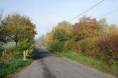 An autumn morning on Caxton Road - Geograph - 4726590.jpg