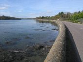 By the Bandon estuary - Geograph - 2116698.jpg