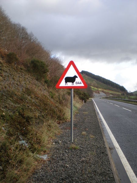 File:New road with "sheep" sign - Geograph - 308728.jpg