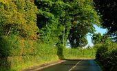 The Lambeg Road, Lambeg (1) - Geograph - 991305.jpg