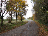 The A1067 (Fakenham Road) - Geograph - 1041349.jpg