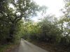 Bottrells Lane, Chalfont St Giles - Geograph - 4693236.jpg