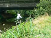 River Avon and its bridge under the M4, near Sutton Benger - Geograph - 914355.jpg