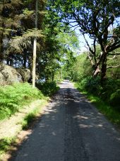 The B866 road near Kinlochruel - Geograph - 5870020.jpg