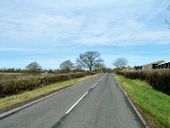 Wagon Road - Geograph - 3411209.jpg